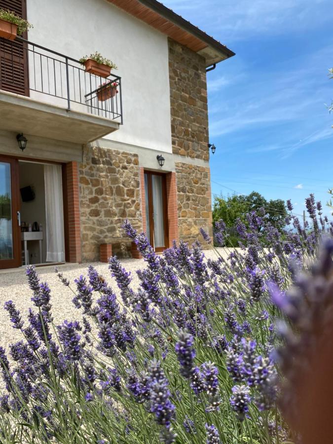 Podere Belsogno Montalcino Exterior photo